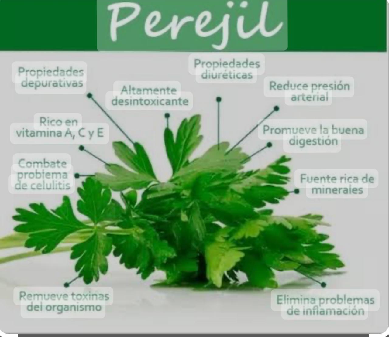 Beneficios de consumir Perejil.