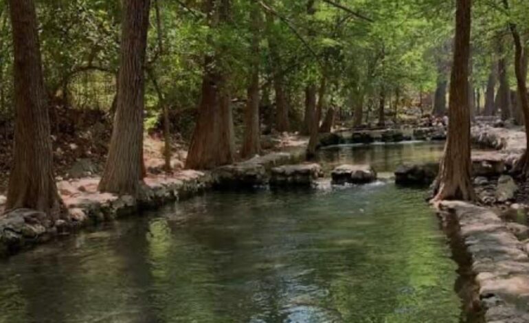 Parque ecológico los Troncones.