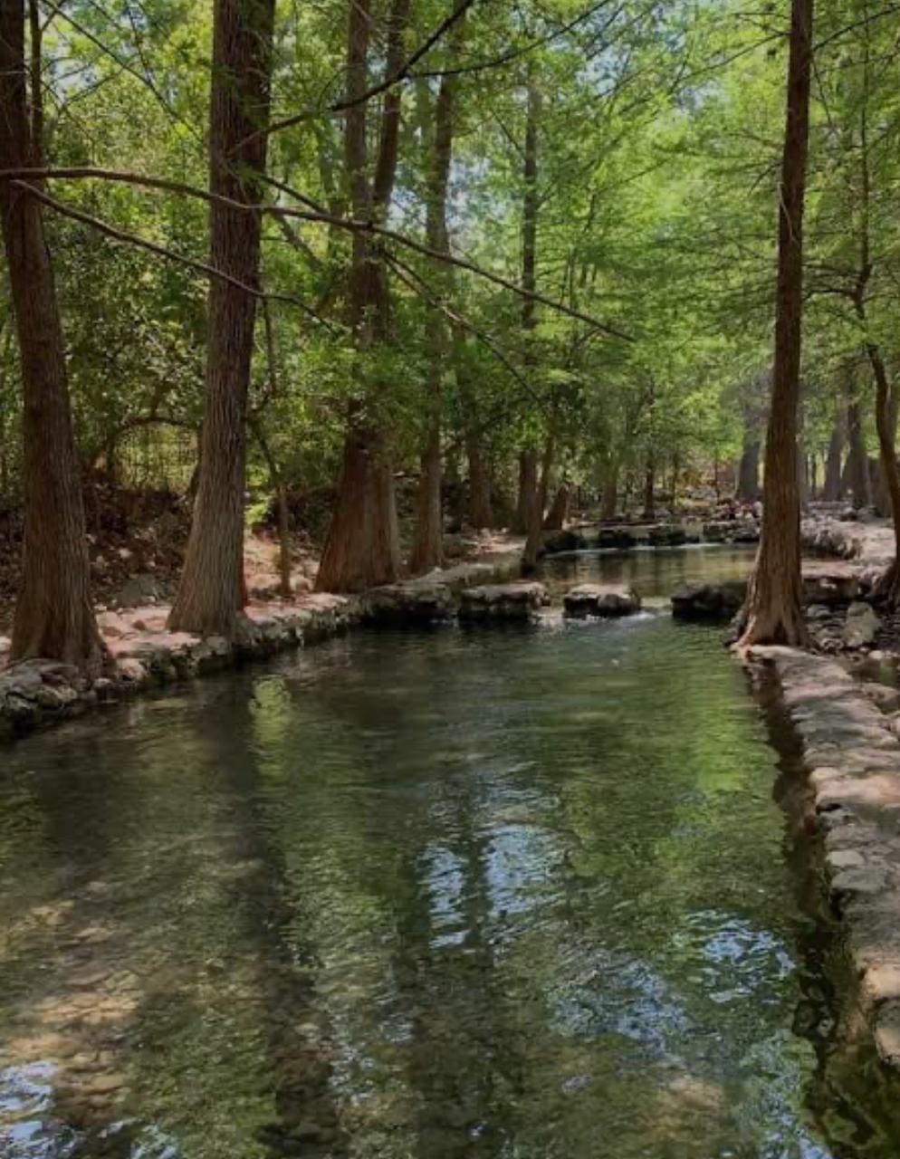 Parque ecológico los Troncones.