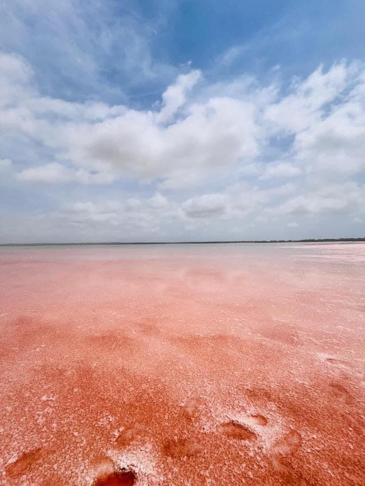 LA LAGUNA ROSA DE TAMAULIPAS.