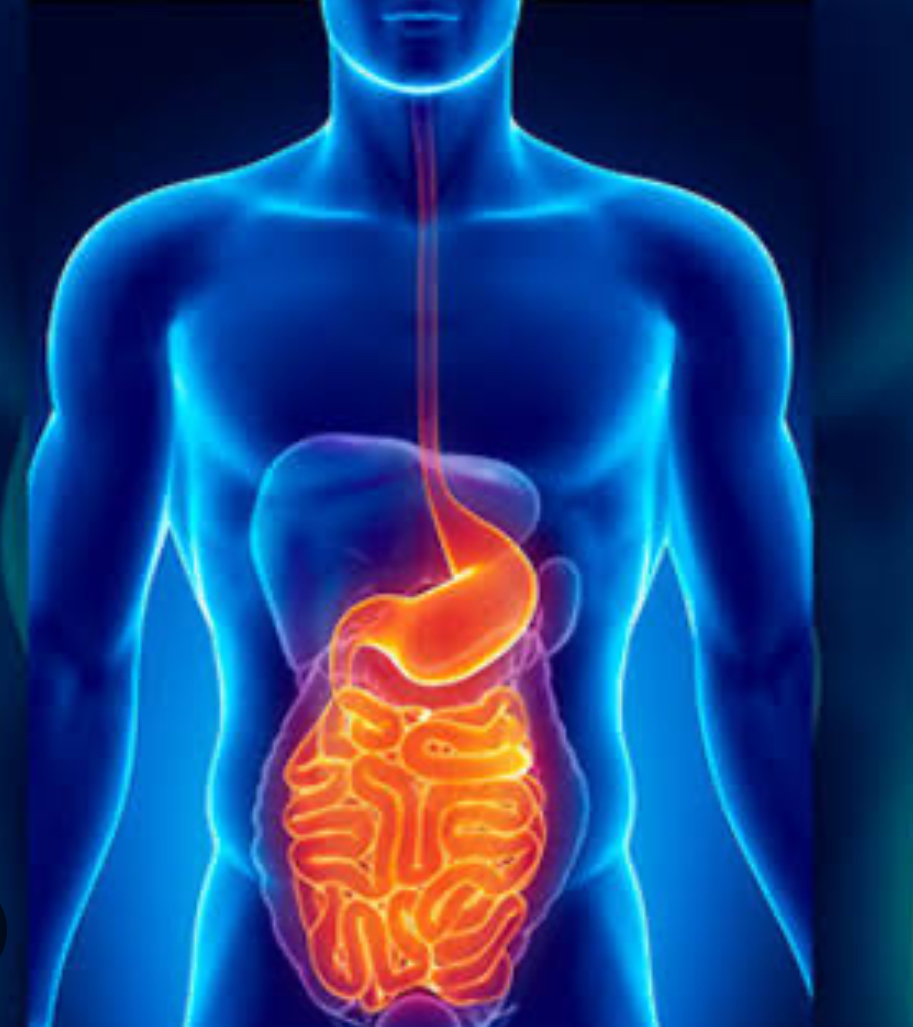 Exhorta SST a reforzar medidas preventivas y evitar enfermedades gastrointestinales.