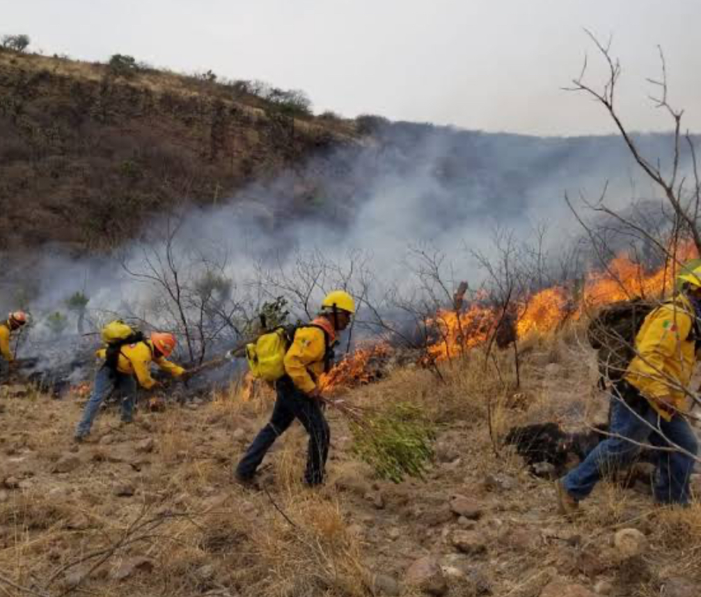 Refuerzan medidas para prevenir incendios forestales en Tamaulipas.