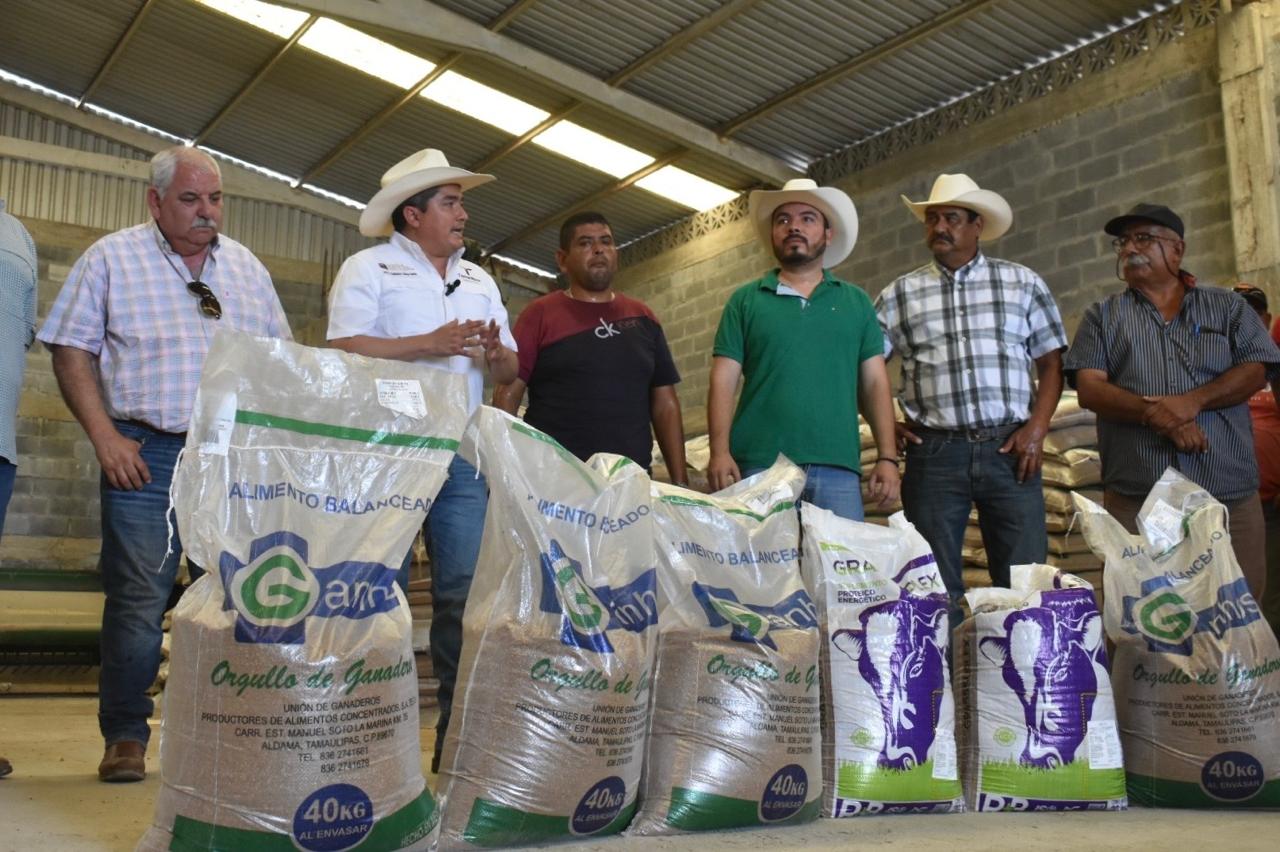 Productores de González reciben suplementos alimenticios para el ganado.