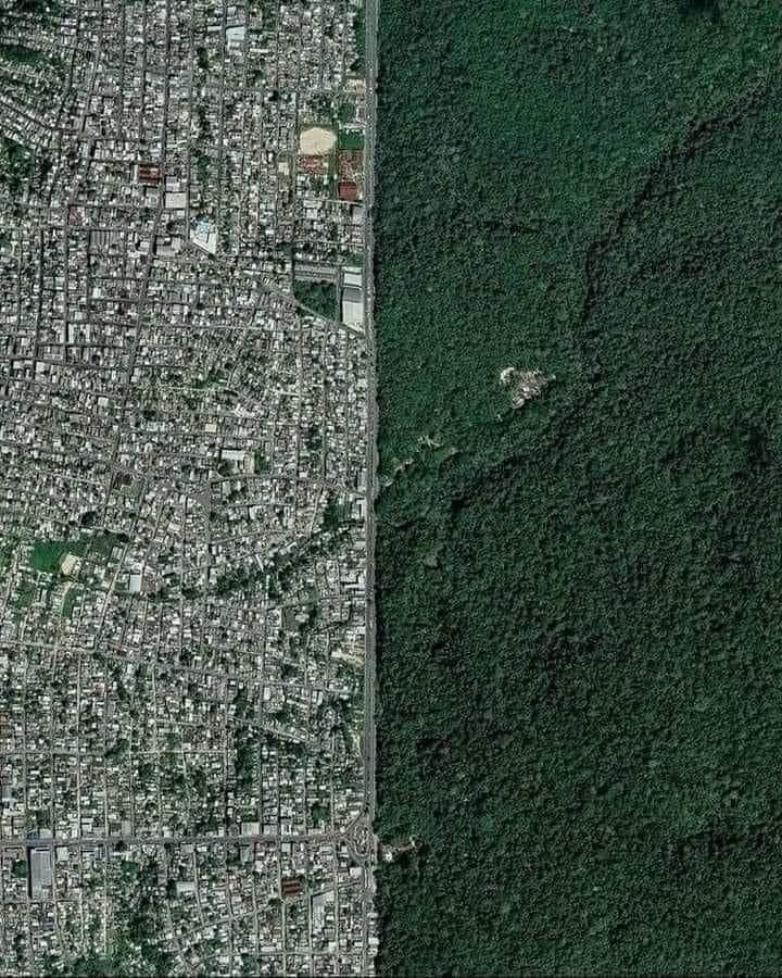 Donde la selva se encuentra con la civilización.