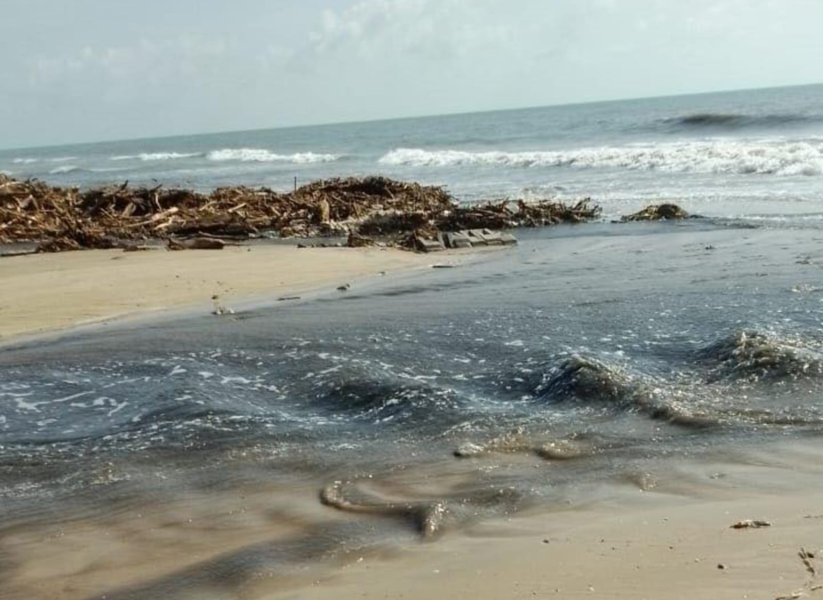 Atienden SEDUMA y Procuraduría Ambiental contaminación de empresa en Altamira