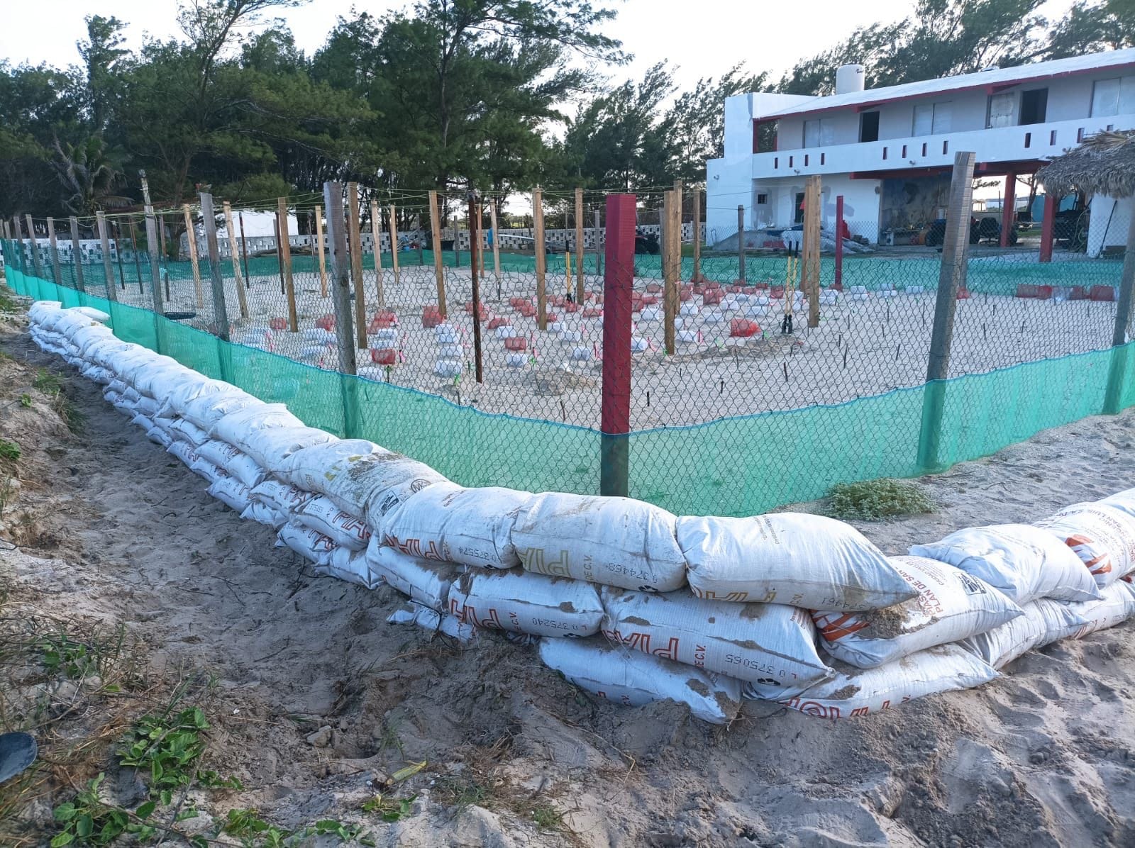 Refuerza Comisión de Parques protección en campos tortugueros de Tamaulipas.