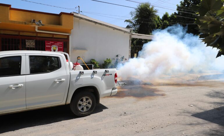 Refuerza Secretaría de Salud de Tamaulipas estrategia de fumigación y abatización.