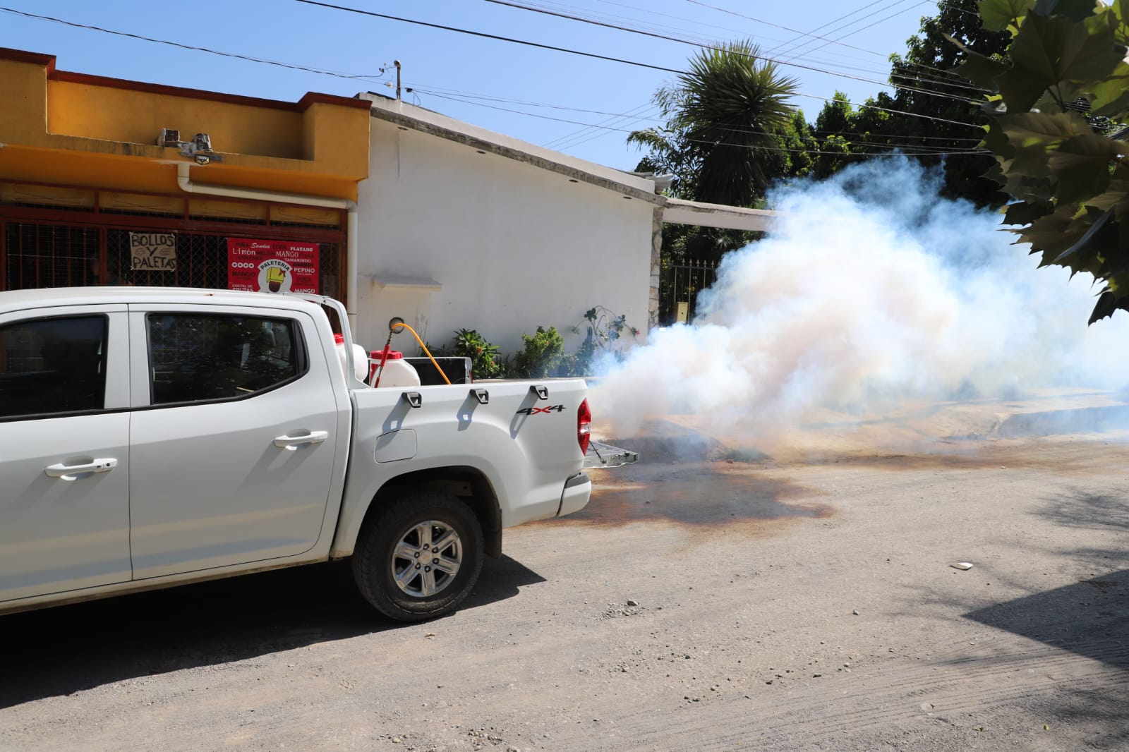 Refuerza Secretaría de Salud de Tamaulipas estrategia de fumigación y abatización.