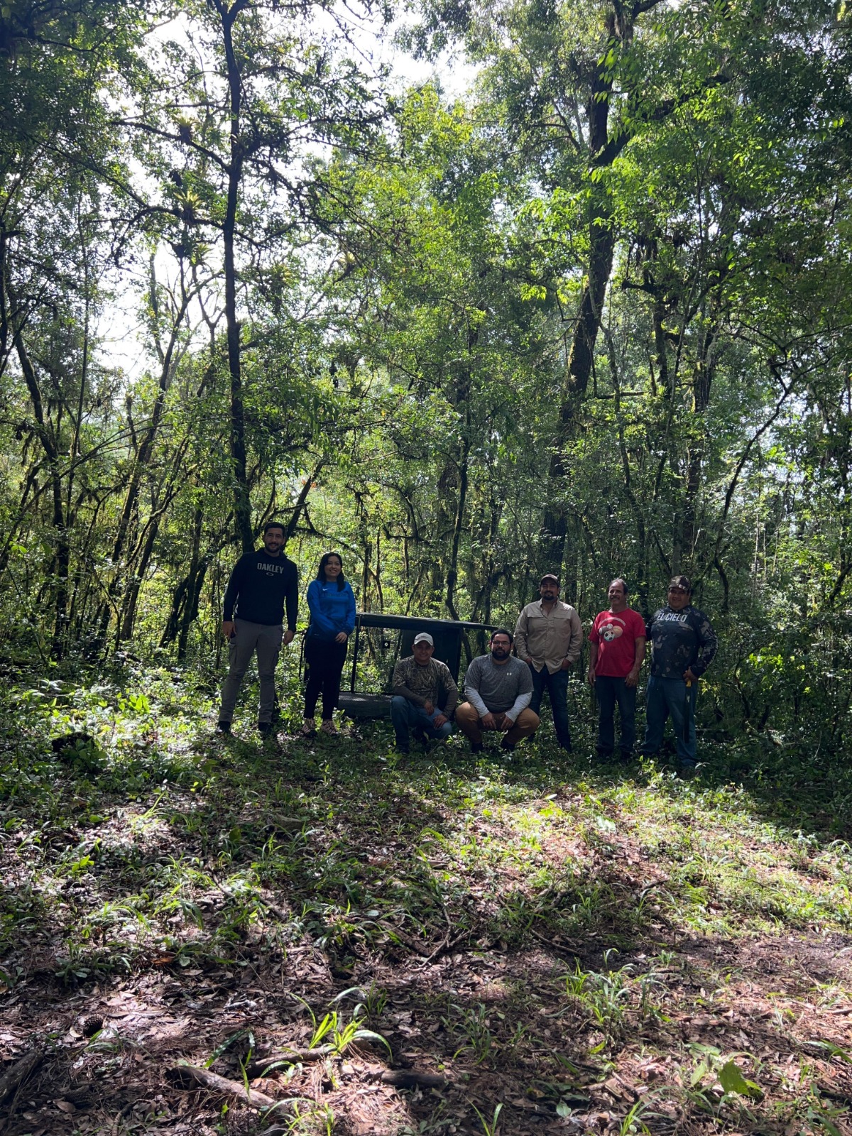 Arranca Comisión de Parques monitoreo del oso negro americano en Tamaulipas.