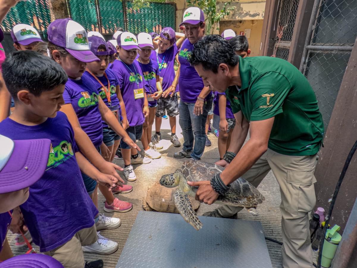 Forman cursos de verano una mejor sociedad desde la infancia: CPBT
