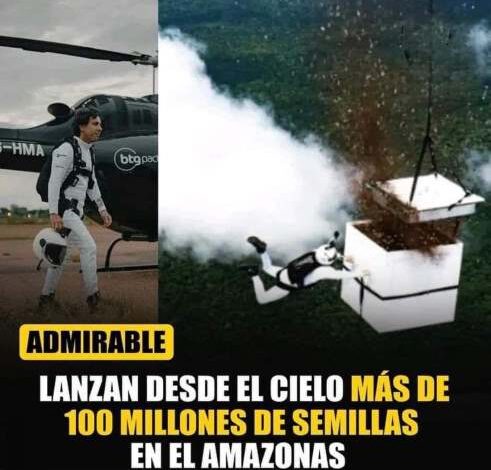 ADMIRABLE: LANZAN DESDE EL CIELO MÁS DE 100 MILLONES DE SEMILLAS EN EL AMAZONAS.