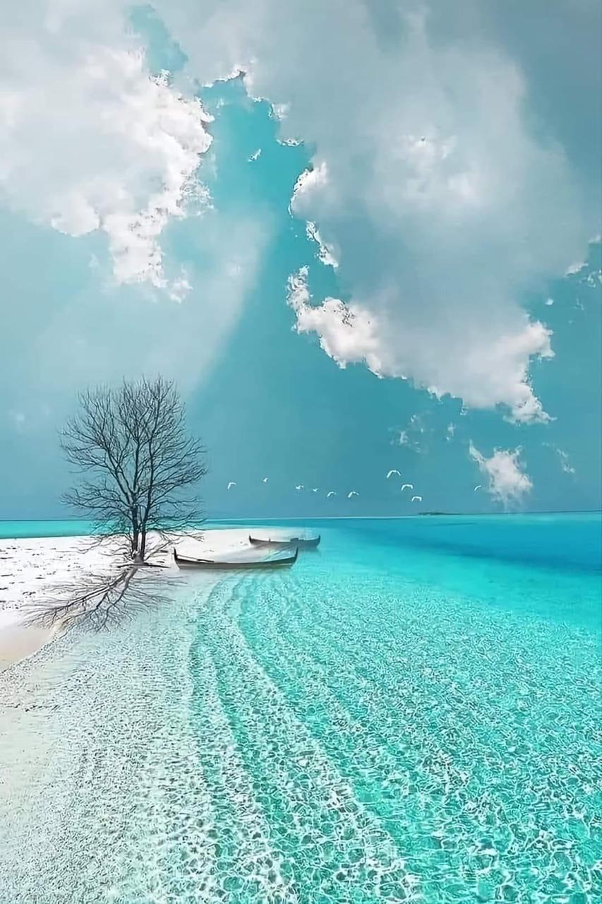 Hermosa playa de Maldivas.