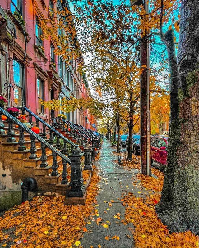 Otoño en Nueva Jersey