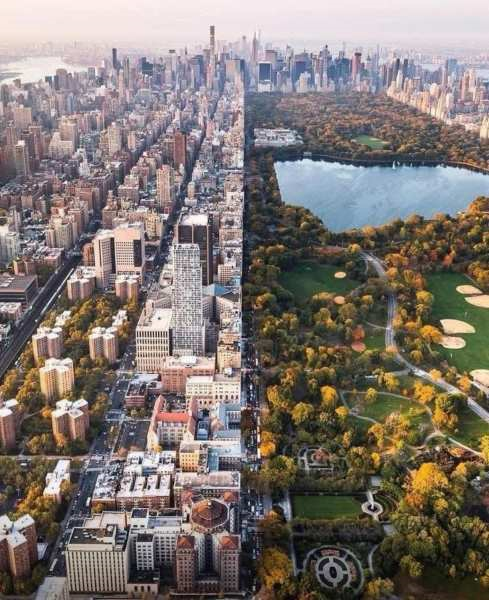 “La frontera que marca el límite entre el tranquilo Central Park y la ciudad que nunca duerme, una de las más emocionantes y desafiantes del planeta. Un pulmón verde que respira vida en medio de un mar de rascacielos y asfalto.”