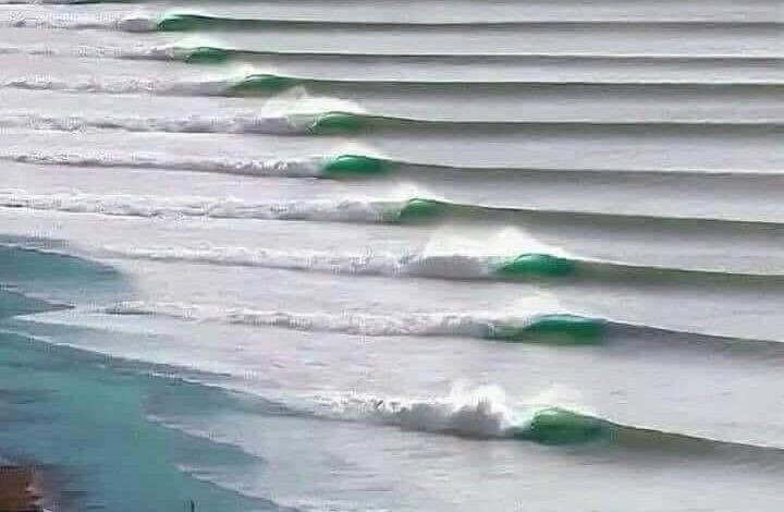 Chicama u Ola chicamera