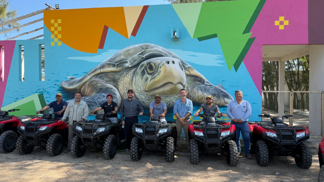 Vigilarán seis campos tortugueros en Tamaulipas con 14 cuatrimotos.