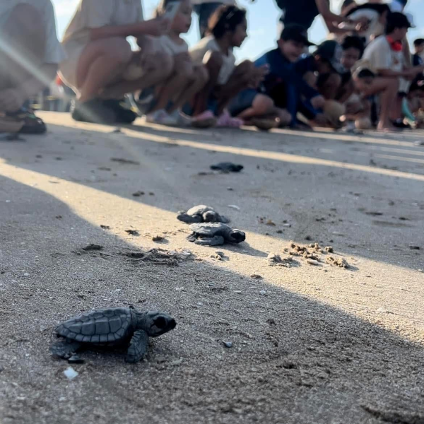 Proyectarán en televisión las maravillas naturales de Tamaulipas: CPBT