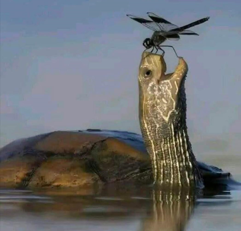 Hermosa fotografía.