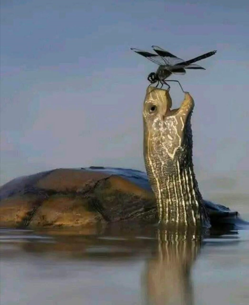 Hermosa fotografía.