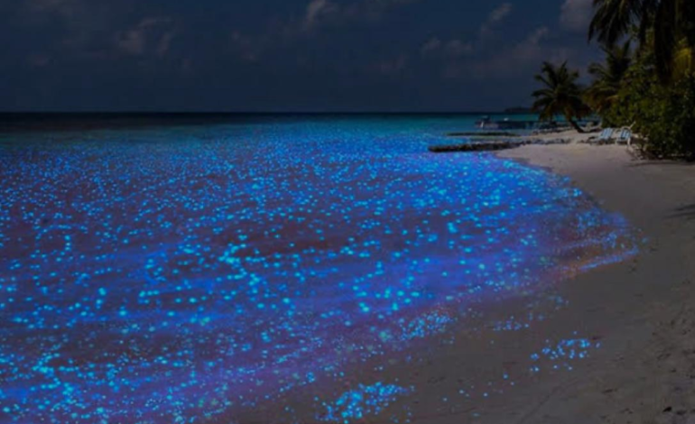 Holbox