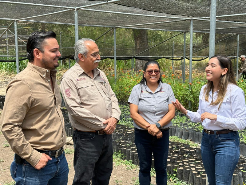 Promueven Gobierno del Estado y Congreso de Tamaulipas reforestación ambiental.