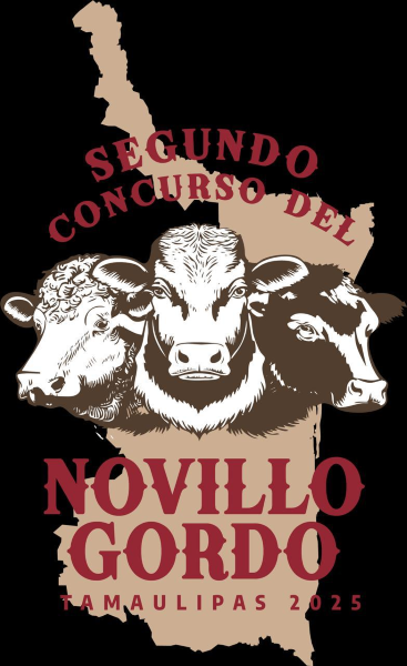 Prepara Desarrollo Rural de Tamaulipas Segundo Concurso del Novillo Gordo