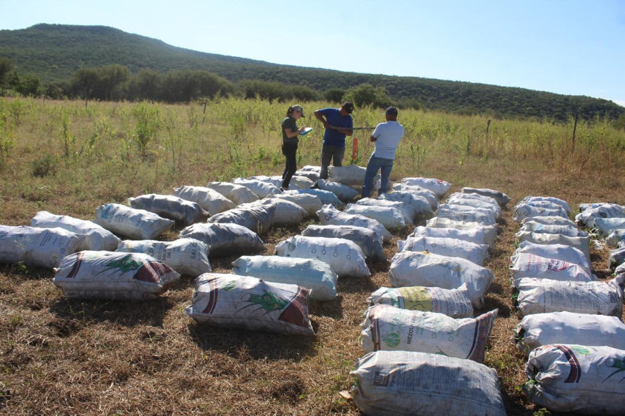 Impulsan extensionismo forestal en apoyo a productores tamaulipecos