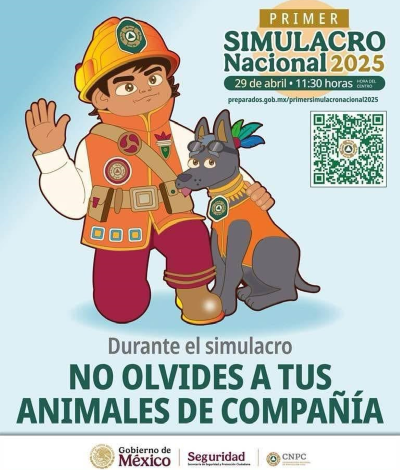 ¡Atención México!🚨 El 29 de abril a las 11:30 hrs. es el Primer Simulacro Nacional 2025 y los valientes binomios caninos, héroes en muchas emergencias, también estarán con nosotros.🐶🦺🐕‍🦺  ¡Tú también súmate a este gran ejército por la prevención!