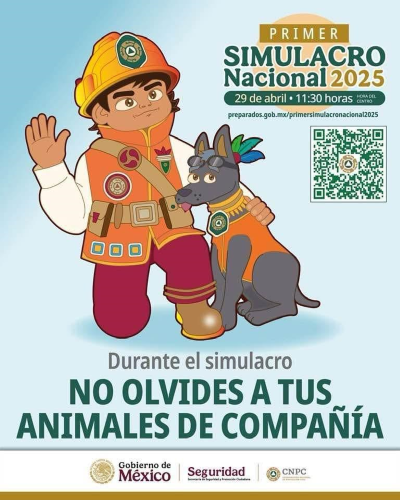 ¡Atención México!🚨 El 29 de abril a las 11:30 hrs. es el Primer Simulacro Nacional 2025 y los valientes binomios caninos, héroes en muchas emergencias, también estarán con nosotros.🐶🦺🐕‍🦺  ¡Tú también súmate a este gran ejército por la prevención!