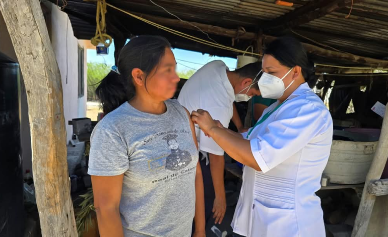 Define Salud acciones y estrategias para Primera Semana Nacional de Vacunación