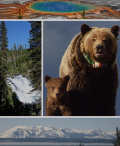 El Parque Nacional Yellowstone.