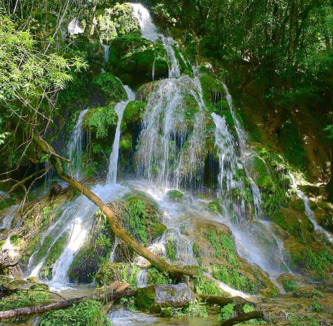 Gana premio turístico nacional Reserva de la Biosfera El Cielo