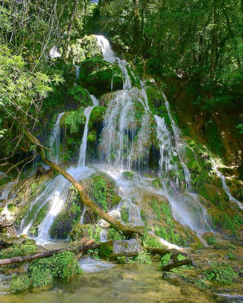 Gana premio turístico nacional Reserva de la Biosfera El Cielo
