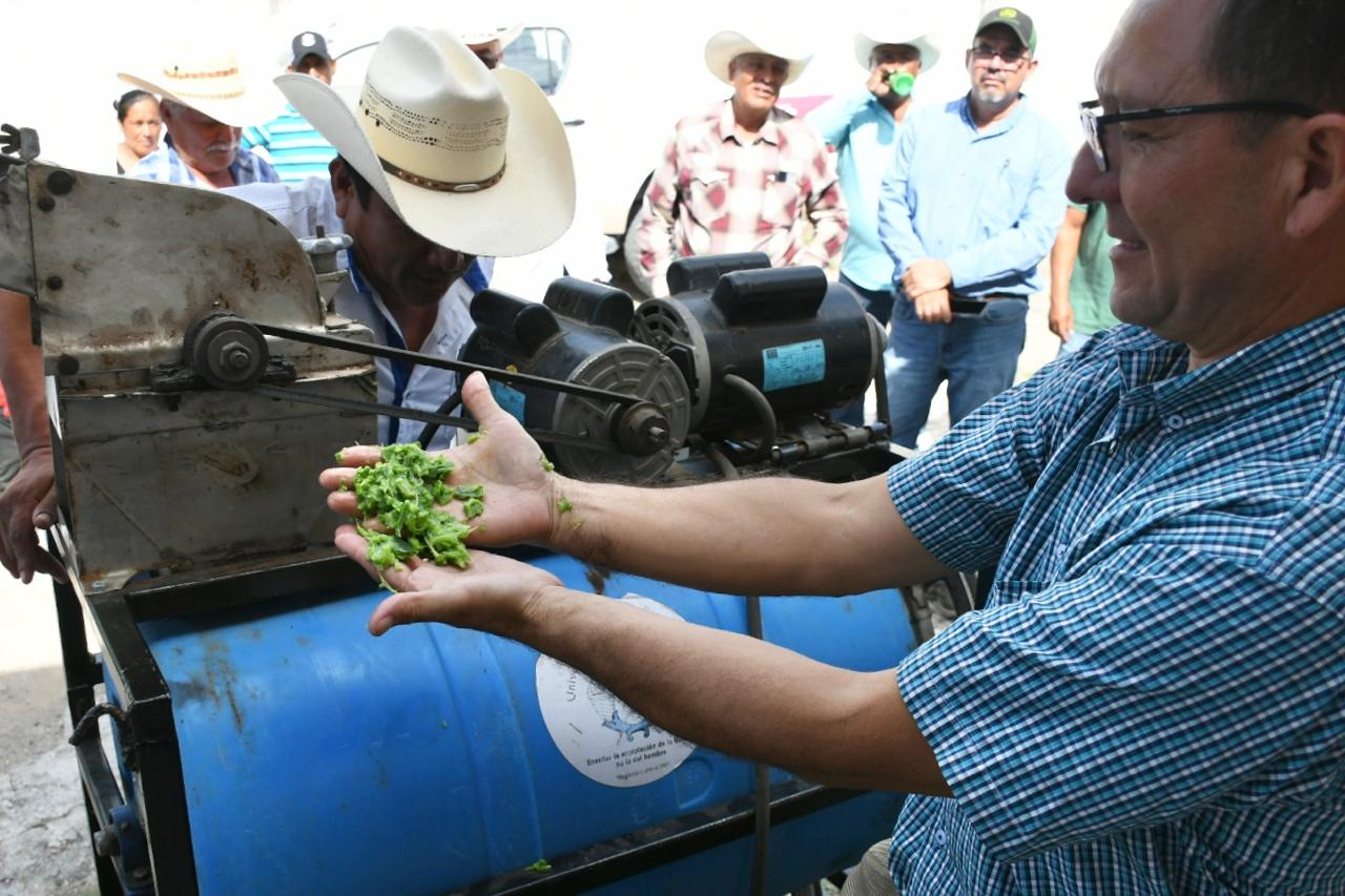 Promueven el uso del nopal como estrategia alimentaria sustentable