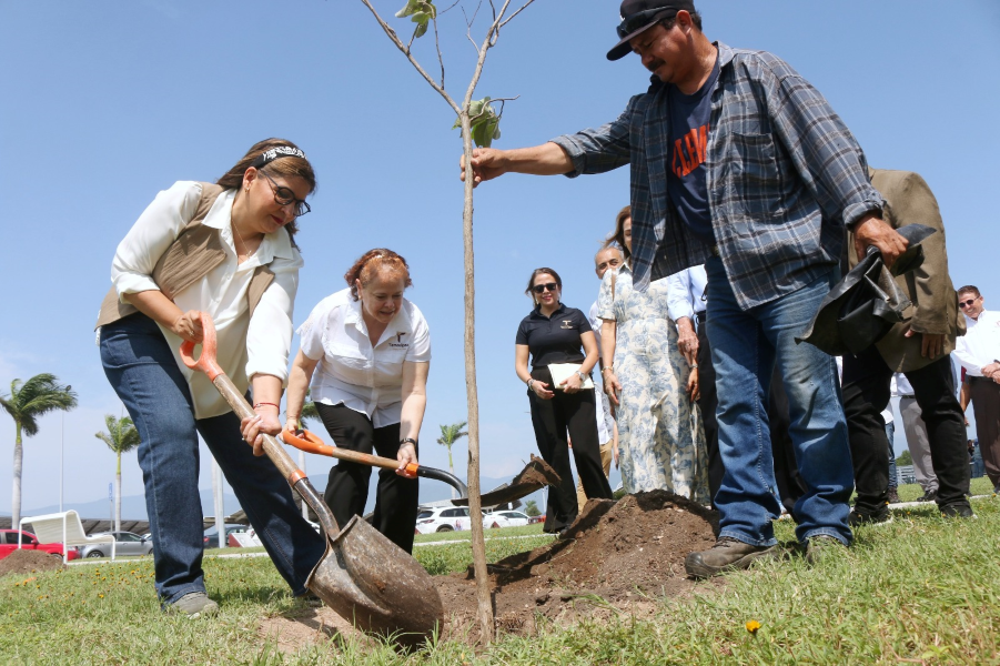 Fomenta SEDUMA reforestación con visión sostenible en el Parque Bicentenario