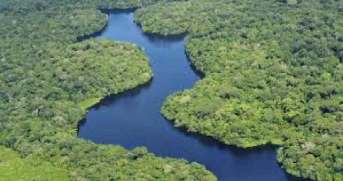Amazonas.
