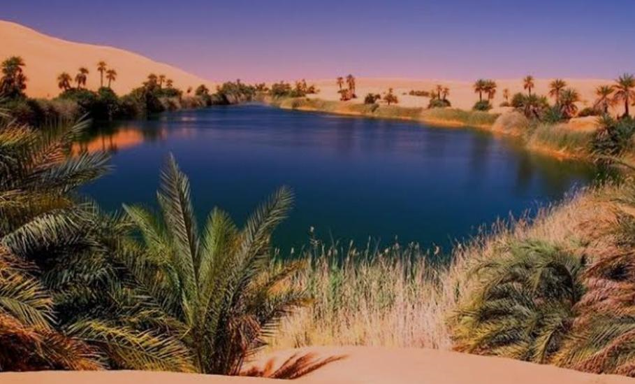 Oasis Ubari.
