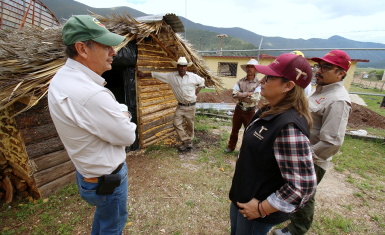 Fortalecen SEDUMA y CONAFOR economía local y conservación ambiental en Miquihuana