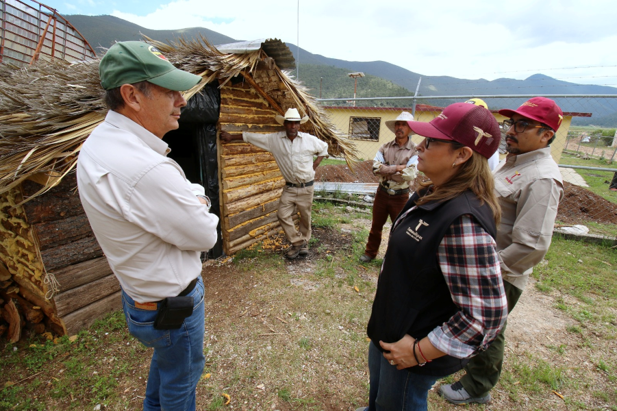 Fortalecen SEDUMA y CONAFOR economía local y conservación ambiental en Miquihuana