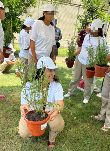 Capacita CEDES Altamira a mujeres en talleres de cultivo de plantas aromáticas