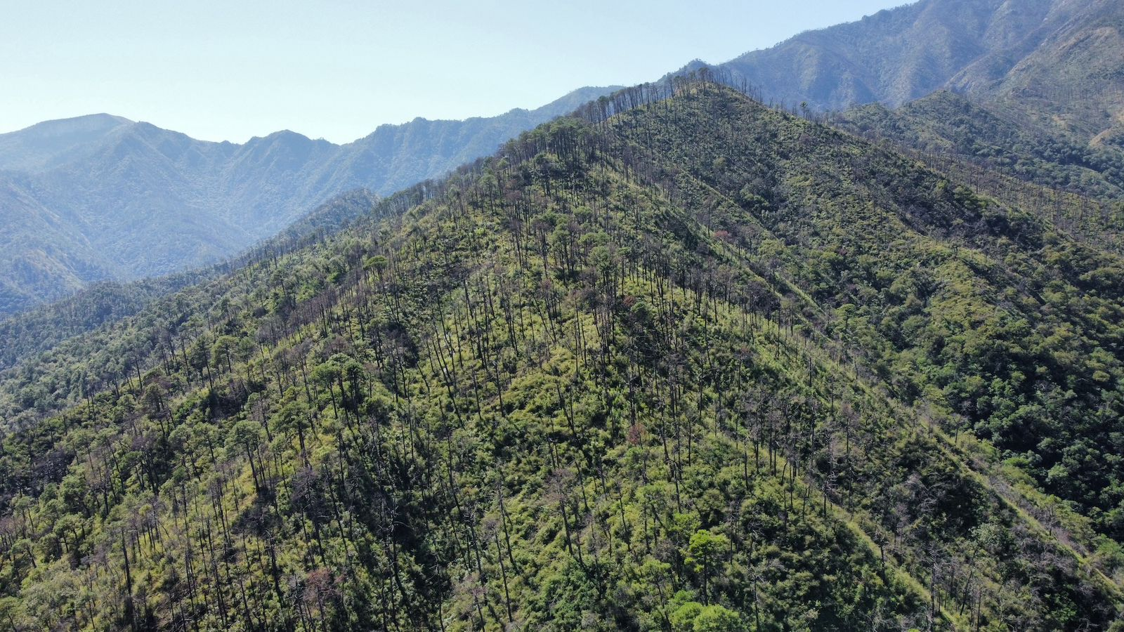 Fortalecen SEDUMA Y CONAFOR estrategia para preservar riqueza ambiental de Tamaulipas