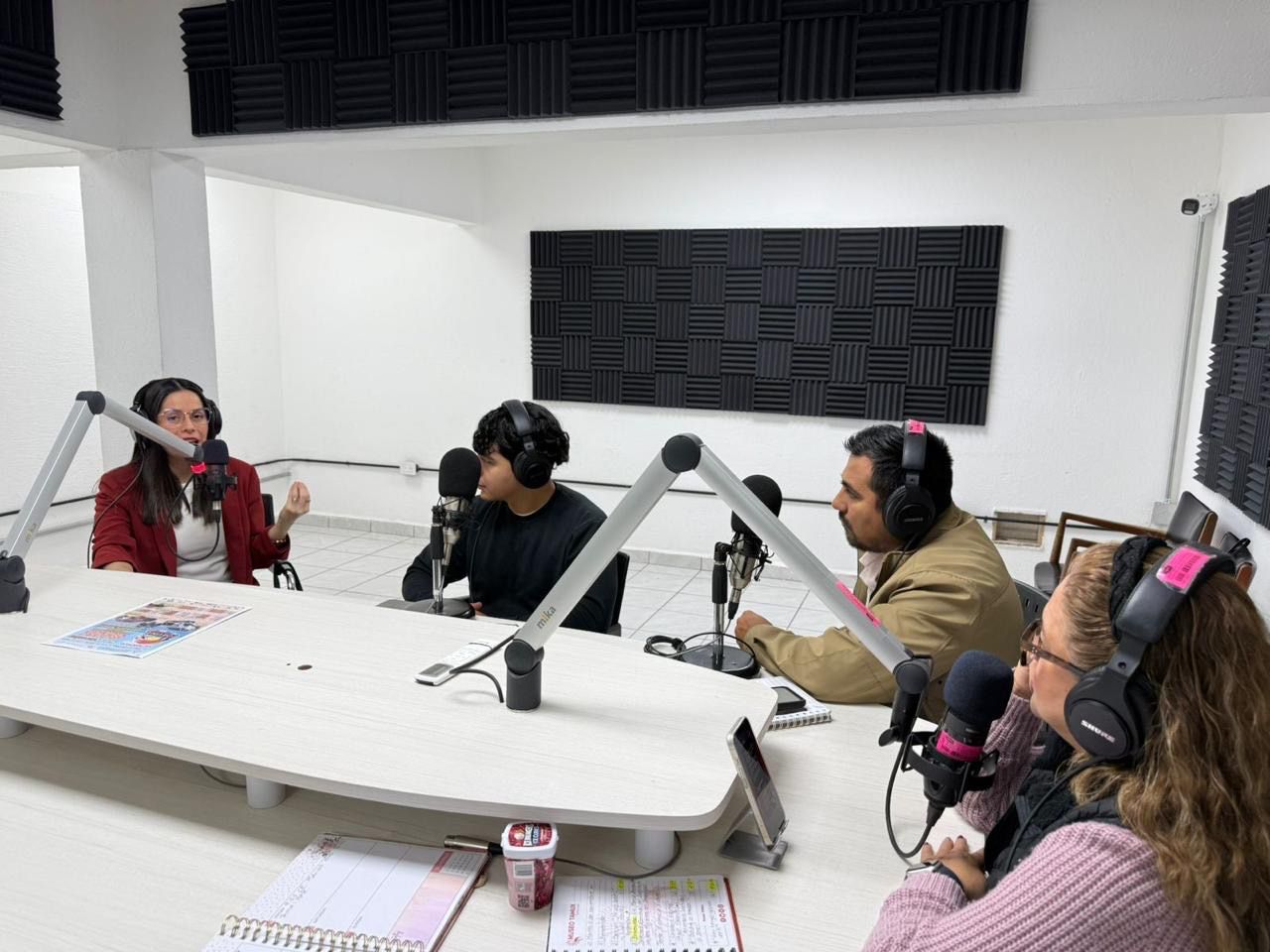 Promueve SIPINNA Tamaulipas estrategias de protección ante la violencia vicaria en coordinación con el Instituto de las Mujeres