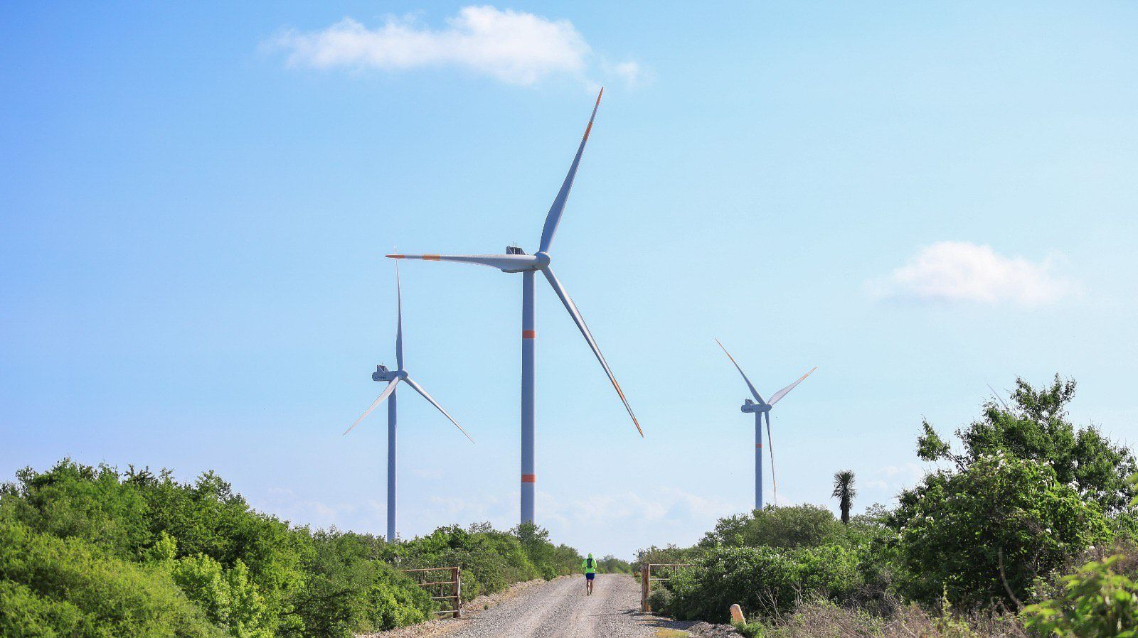 SENER anuncia inversión estratégica de 358.6 MDD en proyectos eléctricos para Tamaulipas