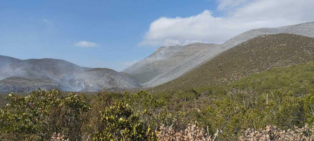 Inician labores de combate en incendio forestal en el ejido Joya de Herrera, Bustamante