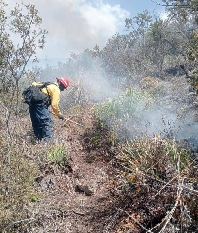 El incendio forestal registrado en el Cerro El Tepozán, en el municipio de Bustamante, se mantiene activo, con un 70 por ciento de control y 60 por ciento de liquidación, informó Protección Civil Tamaulipas.