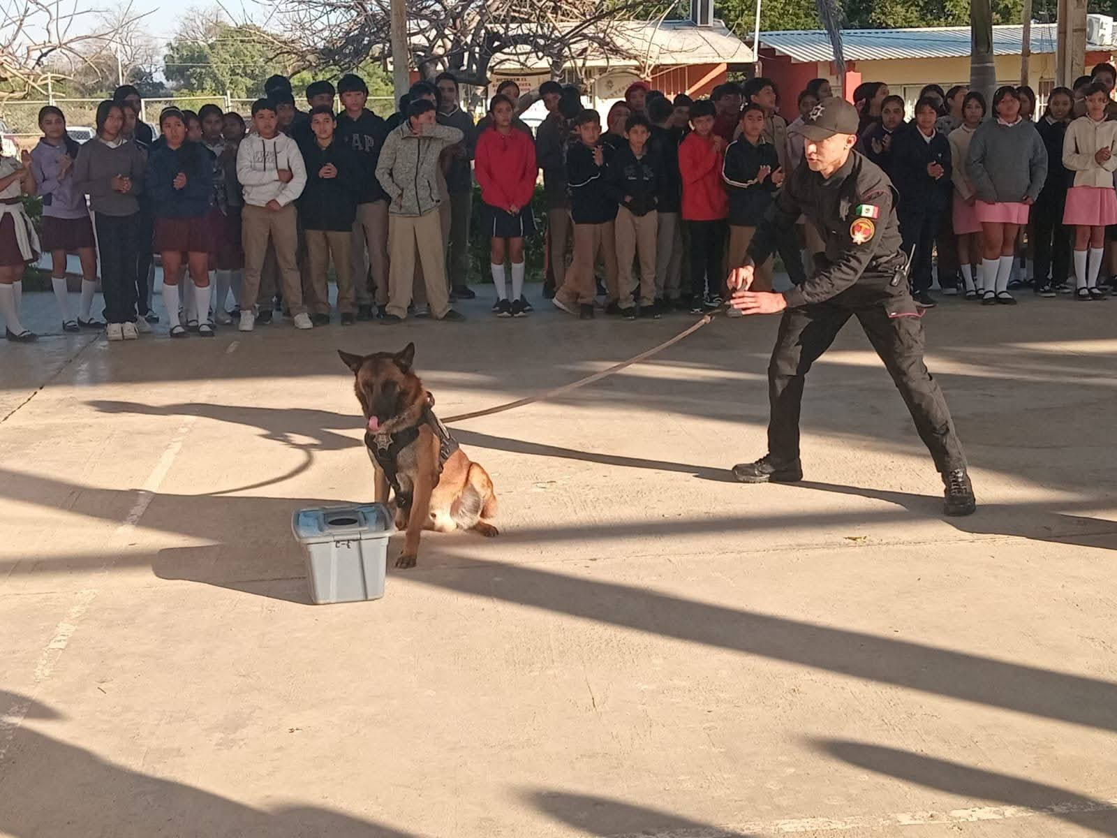 Con más de tres mil acciones operativas y de proximidad, el Agrupamiento Canino de la Guardia Estatal fortalece la prevención y combate al delito en Tamaulipas