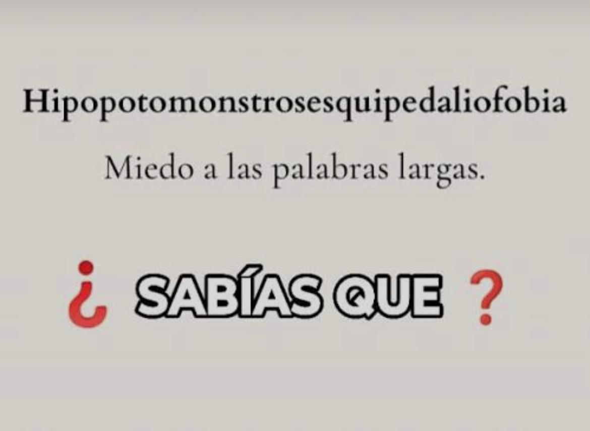 El miedo a las palabras largas se llama hipopotomonstrosesquippedaliofobia.