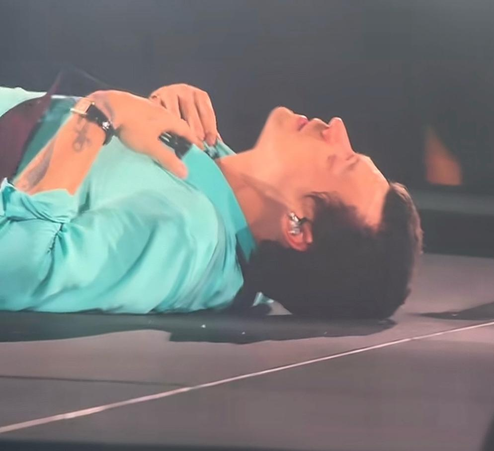 Harry Styles se desmaya en el escenario.