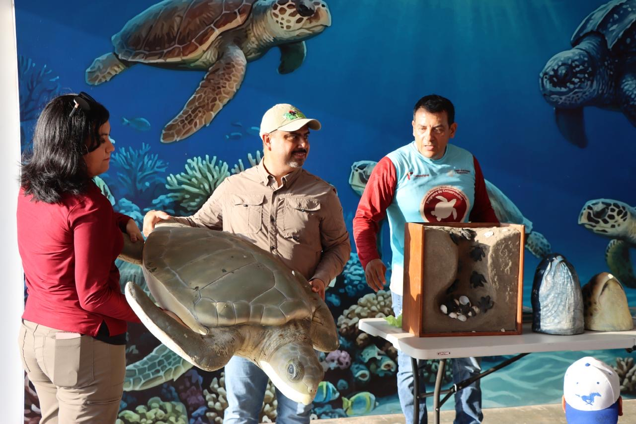 Reciben educación ambiental y conservación de especies niñas, niños y familias en el Campamento Tortuguero de La Pesca